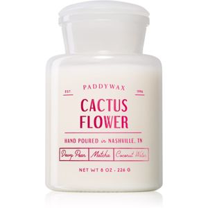 Paddywax Farmhouse Cactus Flower illatos gyertya 226 g
