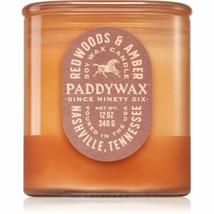 Paddywax Vista Redwoods & Amber illatgyertya 340 g