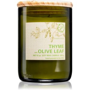 Paddywax Eco Green Thyme & Olive Leaf illatgyertya 226 g
