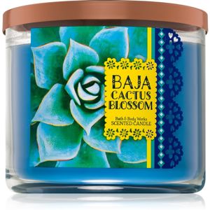 Bath & Body Works Baja Cactus Blossom illatos gyertya