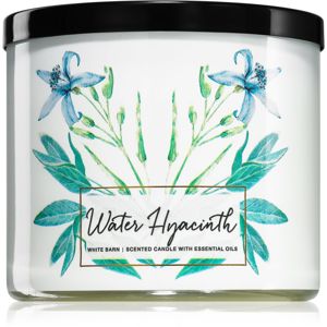 Bath & Body Works Water Hyacinth illatos gyertya 411 g