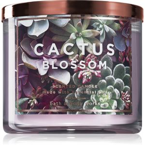 Bath & Body Works Cactus Blossom illatos gyertya 411 g