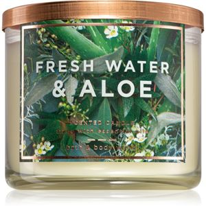 Bath & Body Works Fresh Water & Aloe illatos gyertya 411 g