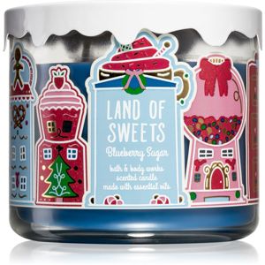 Bath & Body Works Blueberry Sugar illatosító ajtó vállfa 411 g