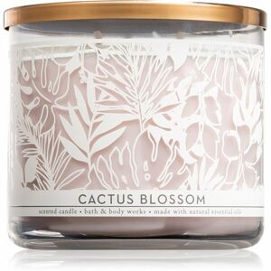 Bath & Body Works Cactus Blossom illatos gyertya I. 411 g