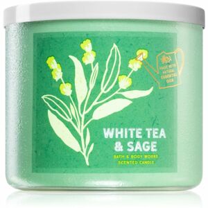 Bath & Body Works White Tea & Sage illatgyertya 411 g