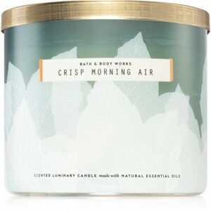 Bath & Body Works Crisp Morning Air illatgyertya 411 g