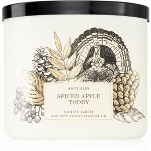 Bath & Body Works Spiced Apple Toddy illatgyertya 411 g