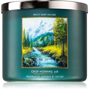 Bath & Body Works Crisp Morning Air illatgyertya 411 g