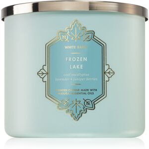 Bath & Body Works Frozen Lake illatgyertya 411 g