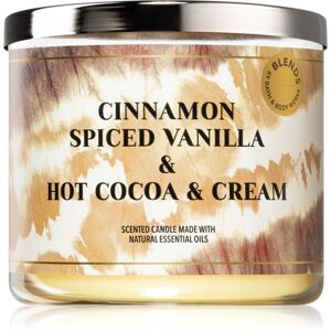 Bath & Body Works Cinnamon Spiced Vanilla & Hot Cocoa and Cream illatgyertya 411 g
