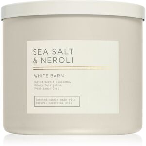 Bath & Body Works Salted Ocean Air illatgyertya 411 g