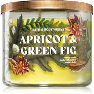 Bath & Body Works Apricot & Green Fig illatgyertya 411 g