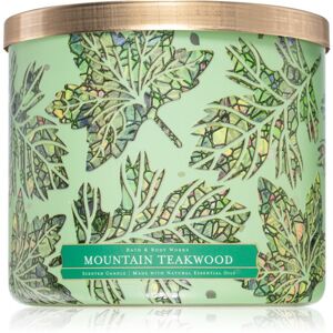 Bath & Body Works Mountain Teakwood illatgyertya 411 g