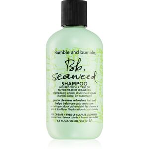 Bumble and bumble Seaweed Shampoo sampon hullámos hajra tengeri moszat kivonatokkal 250 ml