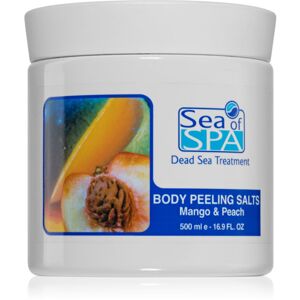 Sea of Spa Dead Sea Treatment testradír 500 ml
