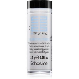 Echosline Styling mattító púder hajra 2,5 g