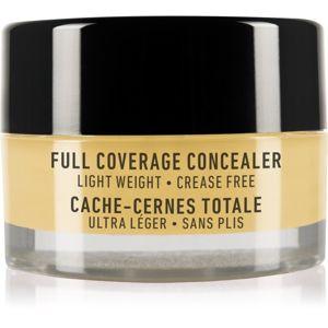 NYX Professional Makeup Concealer Jar korrektor árnyalat Yellow 7 g