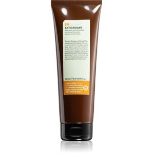 INSIGHT Antioxidant haj maszk tápláló textúra 250 ml