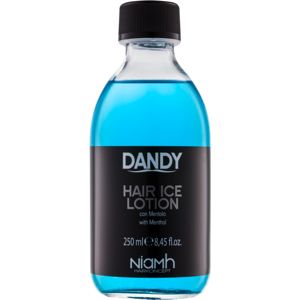 DANDY Hair Lotion hajkúra mentol 250 ml