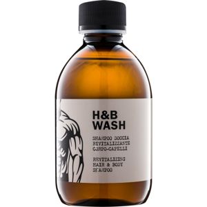 Dear Beard Shampoo H & B Wash sampon és tusfürdő gél 2 in 1