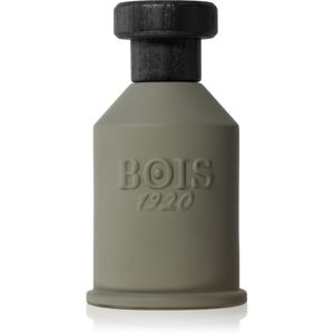 Bois 1920 Itruk Eau de Parfum unisex 100 ml