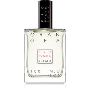Profumum Roma Orangea Eau de Parfum unisex 100 ml