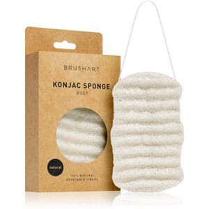BrushArt Home Salon Konjac sponge gyengéd hámlasztó szivacs testre Natural