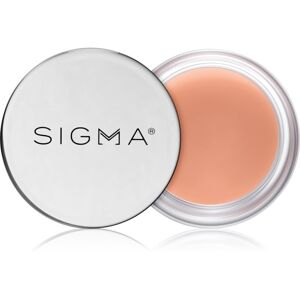 Sigma Beauty Hydro Melt Lip Mask hidratáló maszk az ajkakra hialuronsavval árnyalat Hush 9,6 g