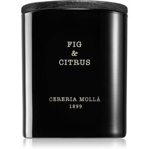 Cereria Mollá Boutique Fig & Citrus illatgyertya 230 g