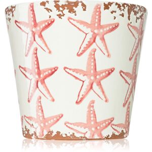 Wax Design Starfish Seabed illatgyertya 14x12,5 cm