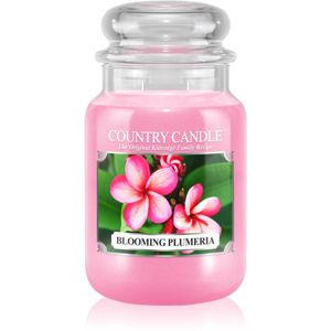 Country Candle Blooming Plumeria illatos gyertya