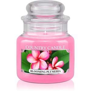 Country Candle Blooming Plumeria illatos gyertya 104 g