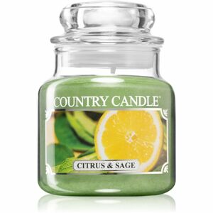 Country Candle Citrus & Sage illatos gyertya 104 g