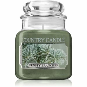 Country Candle Frosty Branches illatos gyertya 104 g