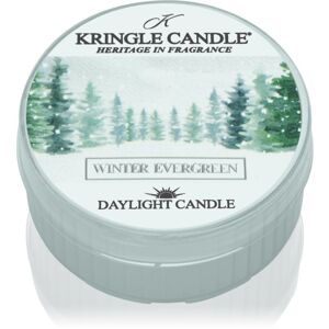 Kringle Candle Winter Evergreen teamécses 42 g