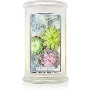 Kringle Candle Succulents illatgyertya 624 g