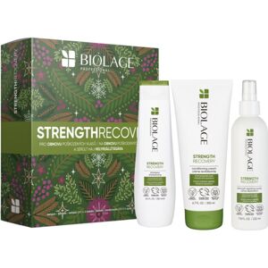Biolage Strength Recovery Strenght Recovery ajándékszett (a károsult hajra)