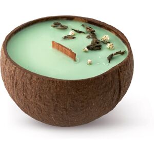 Tropicandle Green Tea illatgyertya fa kanóccal 350 ml