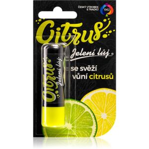 Regina Citrus ajakbalzsam citrus 4.5 g