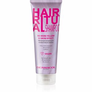 Dermacol Hair Ritual megújító sampon a szőke hideg árnyalataiért 250 ml