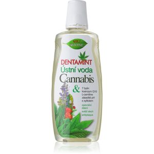Bione Cosmetics Dentamint Cannabis szájvíz 500 ml
