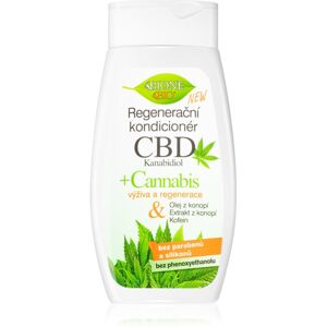Bione Cosmetics Cannabis CBD regeneráló kondicionáló hajra 260 ml