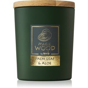 Krab Magic Wood Palm Leaf & Aloe illatgyertya 300 g