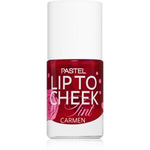 Pastel Lip To Cheek Tint folyékony arcpirosító az arcra és a szájra árnyalat 01 Carmen 9,6 ml