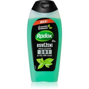 Radox Refreshment felfrissítő tusfürdő gél uraknak 400 ml