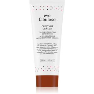 EVO Fabuloso Colour Boosting Treatment haj maszk a hajszín élénkítéséért árnyalat Chestnut 220 ml