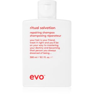 EVO The Therapist Hydrating Shampoo erősítő sampon a sérült és festett hajra 300 ml