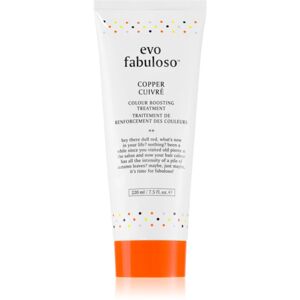 EVO Fabuloso Colour Boosting Treatment haj maszk a hajszín élénkítéséért árnyalat Copper 220 ml