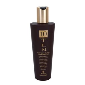 Alterna Ten tápláló sampon a haj regenerálásáért és megerősítéséért szulfátmentes 250 ml